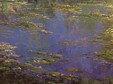 Blue Pond