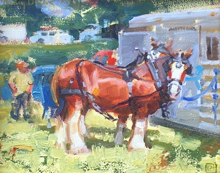Clydesdales