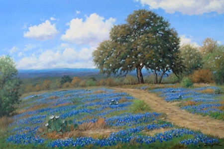 Over The Hill, Haller