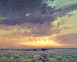 Prairie Colors